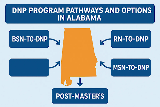 Diagram of DNP program pathways in Alabama showing BSN-to-DNP, RN-to-DNP, MSN-to-DNP, and Post-Master&rsquo;s options around a state outline.