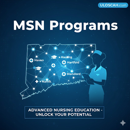 “Connecticut map with healthcare and nursing icons representing MSN and DNP programs across the state.”