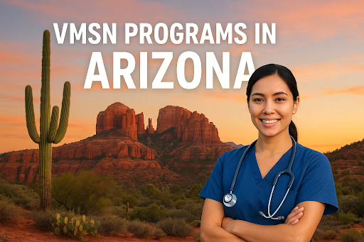 “Future nurse practitioner enrolled in MSN programs in Arizona.”