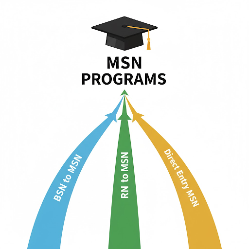 Visual representation of three distinct paths: BSN-to-MSN, RN-to-MSN, and Direct Entry MSN, merging into a single graduate cap.