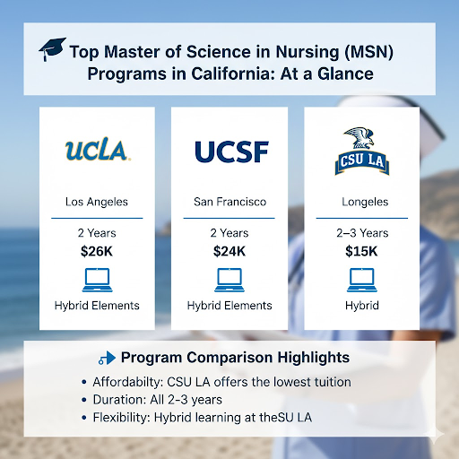 Infographic detailing MSN programs in California: UCLA (2 years, $26K), UCSF (2 years, $24K), CSU LA (2-3 years, $15K), showcasing affordable paths to advanced nursing.