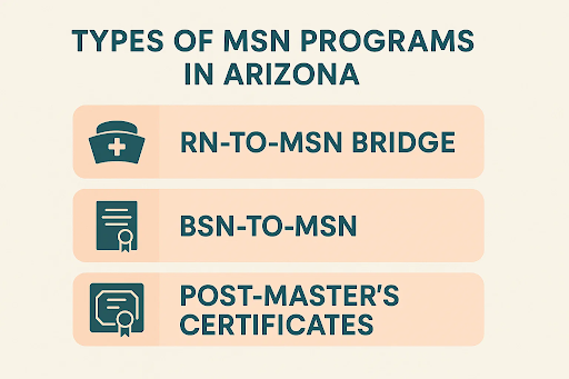 &ldquo;Infographic showing types of MSN programs in Arizona: RN-to-MSN Bridge, BSN-to-MSN, and Post-Master&rsquo;s Certificates.&rdquo;